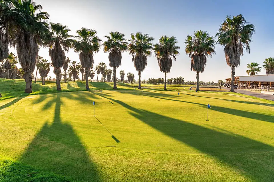 Riviera Golf Course Trees: What Are They [Dead?] - Early Golf Blog