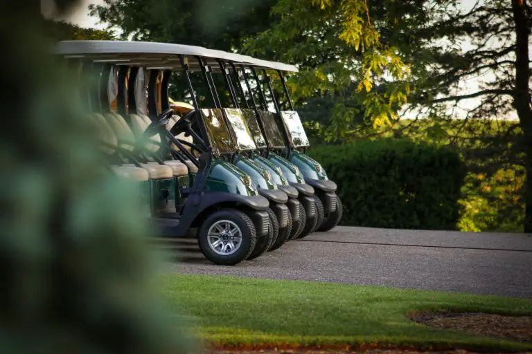 What Is a Good Price for a Used Golf Cart? [$2k?]